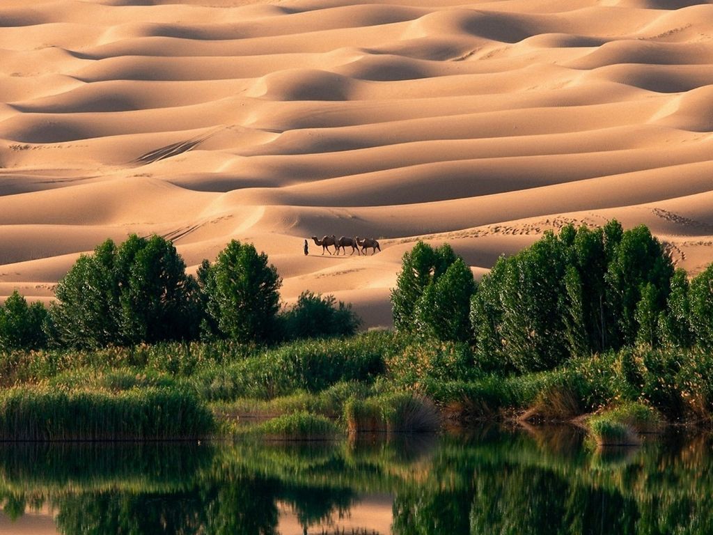 Il deserto di Liwa negli Emirati Arabi