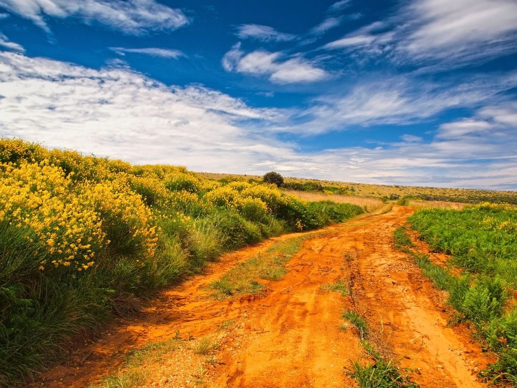Croazia insolita: l’entroterra della Dalmazia tra villaggi e vigneti