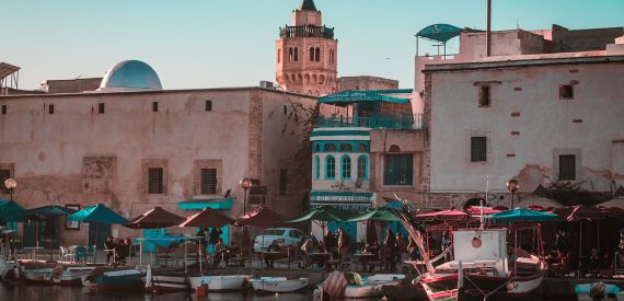 Tour della Tunisia del Nord: tra Storia e Cultura